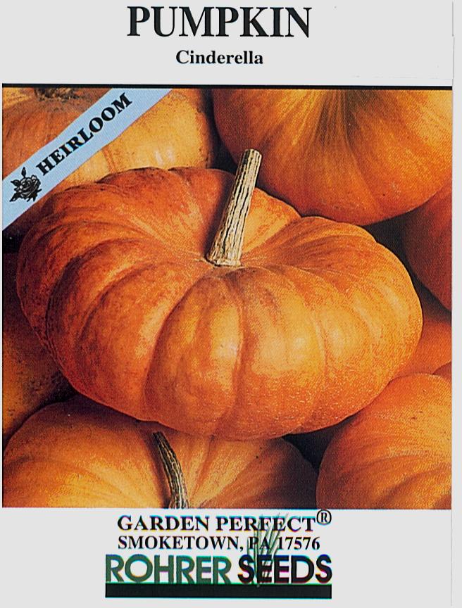 Cinderella Pumpkin Seeds - Image 2