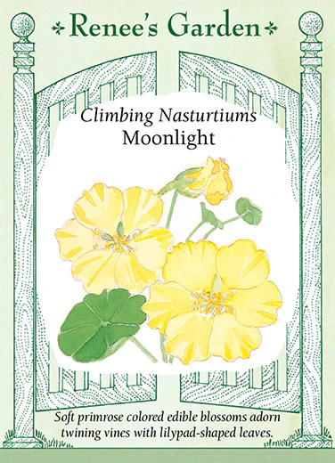 Climbing Moonlight Nasturtium - Image 2