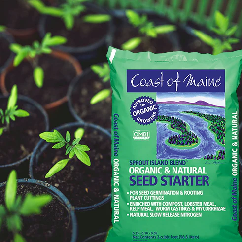 Com Sprout Island Seed Starter (16 Qt)