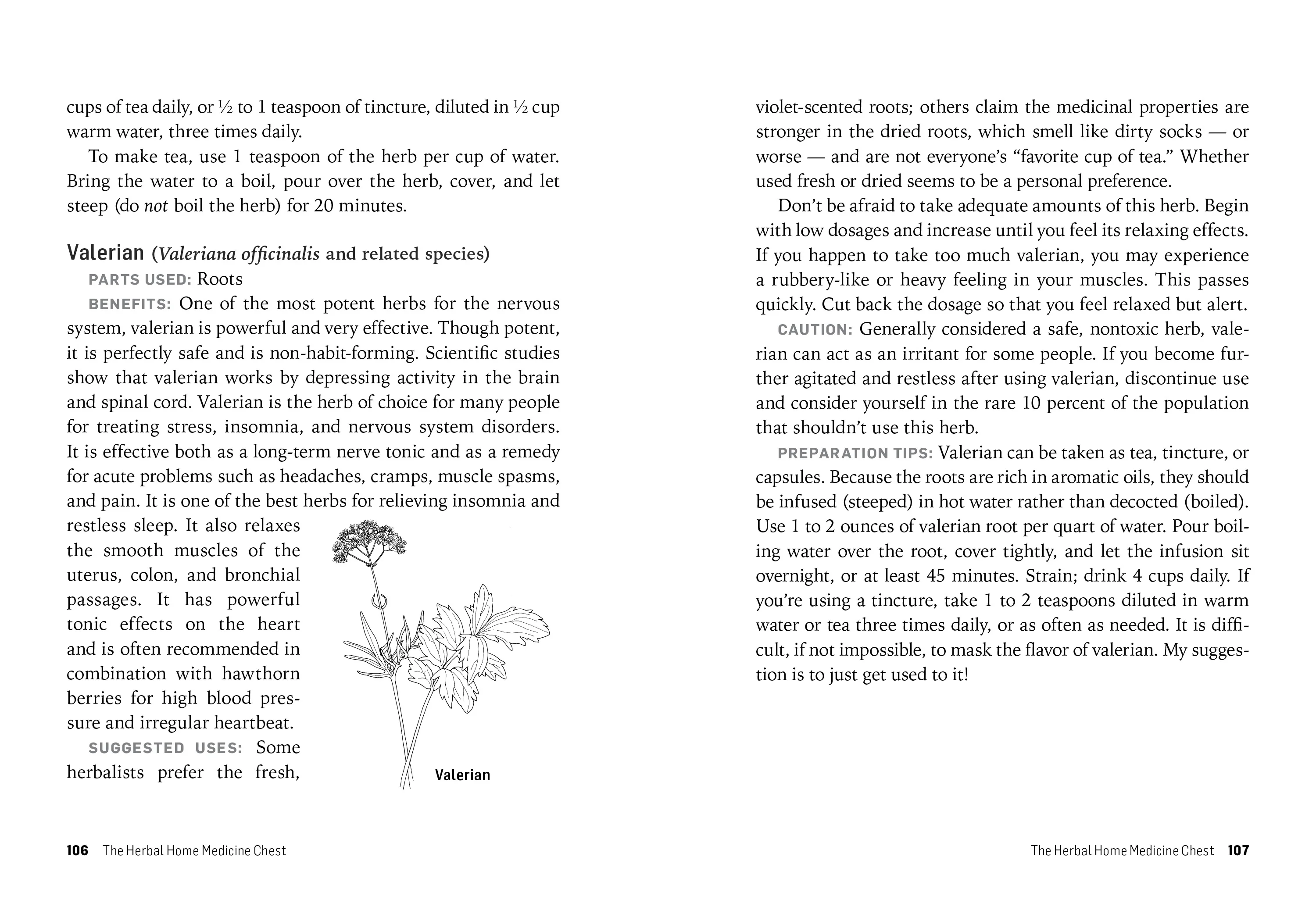 Herbs For Stress & Anxiety Book - Image 5