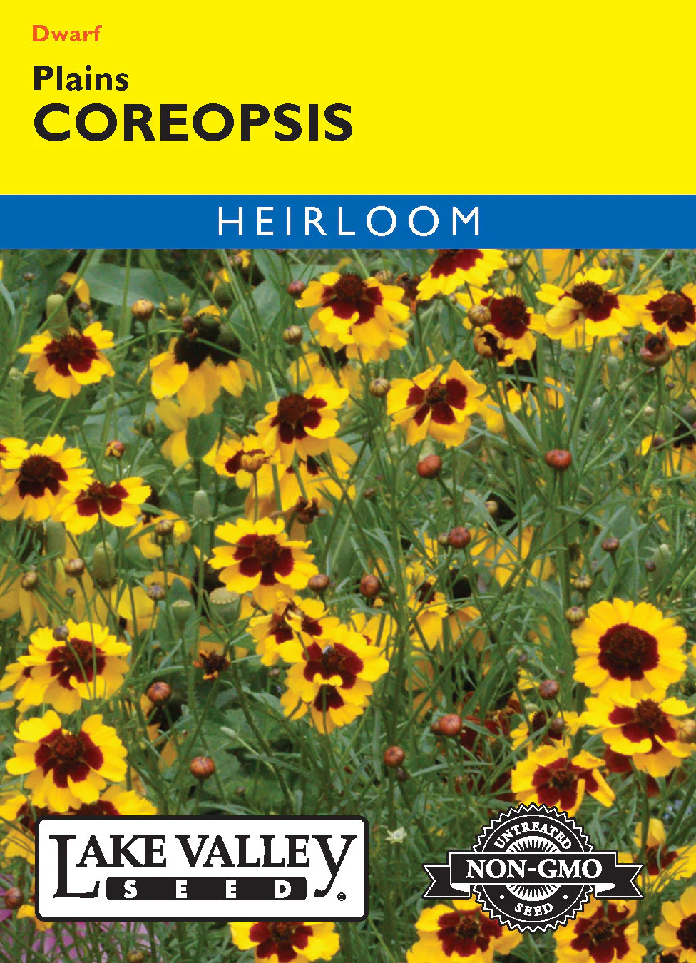 Plains Coreopsis