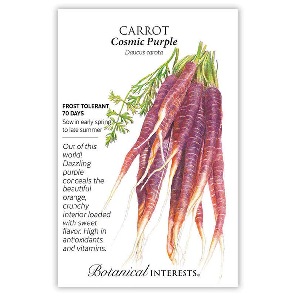 Cosmic Purple Carrots