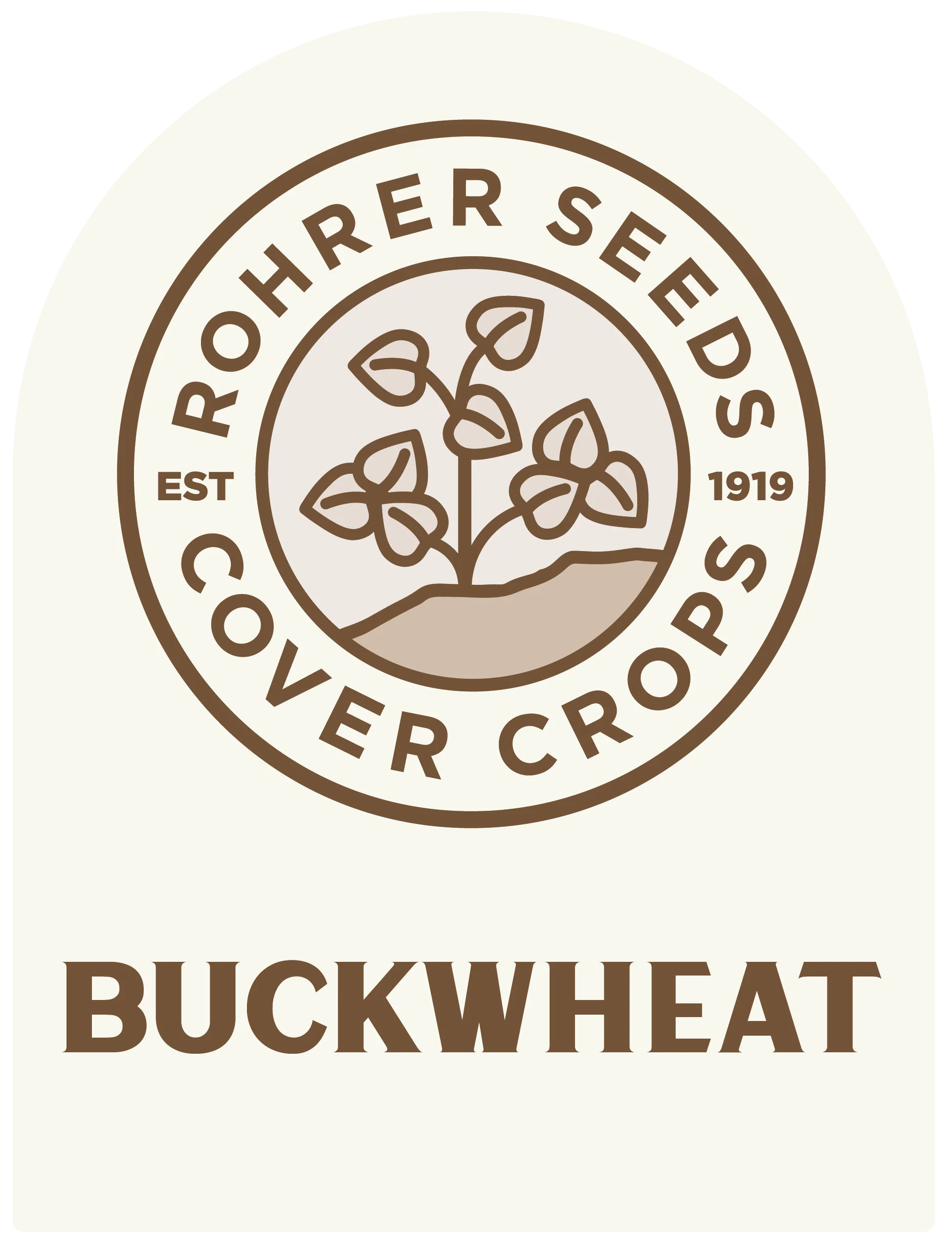 Buckwheat Seed (4lb.) - Image 2