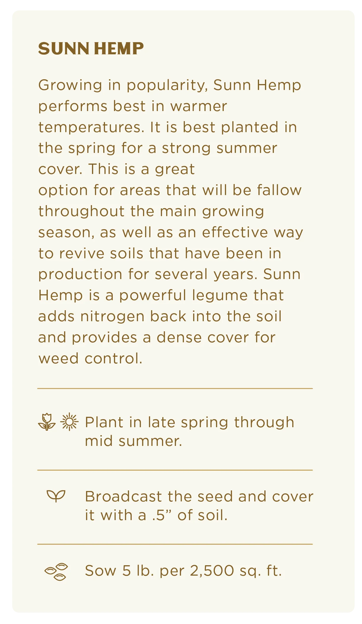 Sunn Hemp Seed (5lb) - Image 3