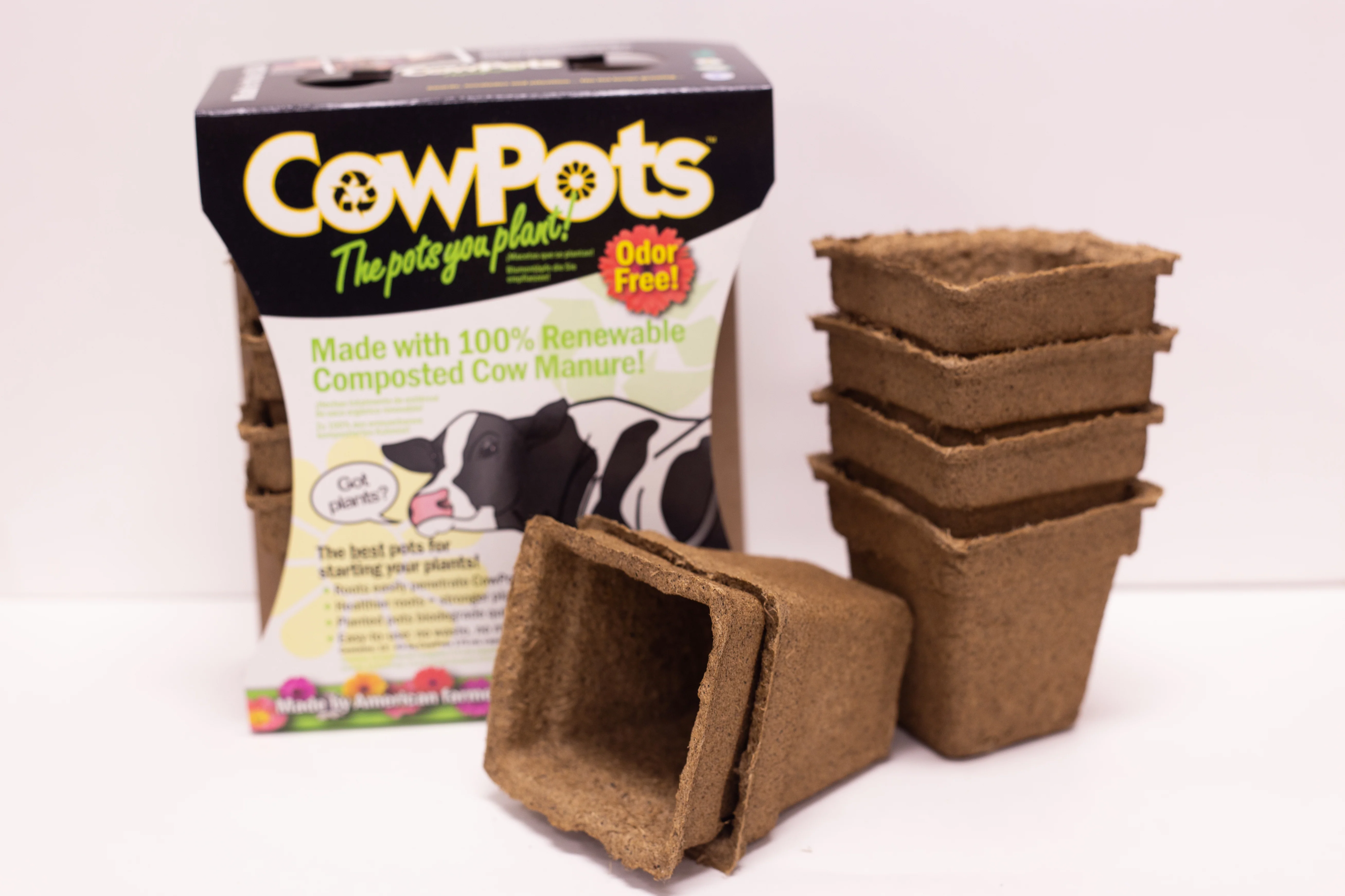 CowPots 3" Square (12 Ct) - Image 3