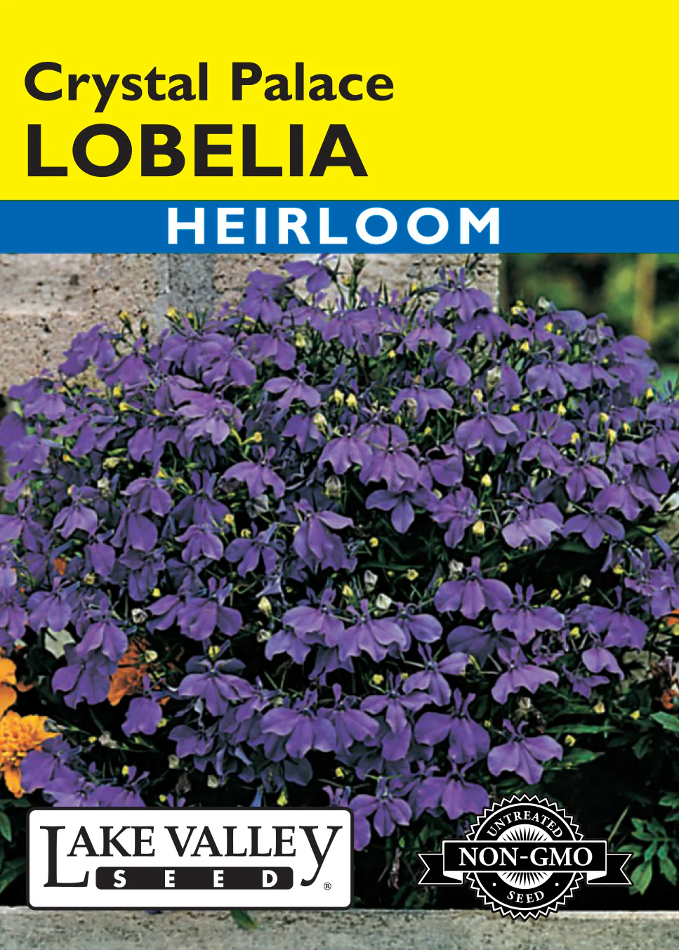 Crystal Palace Lobelia