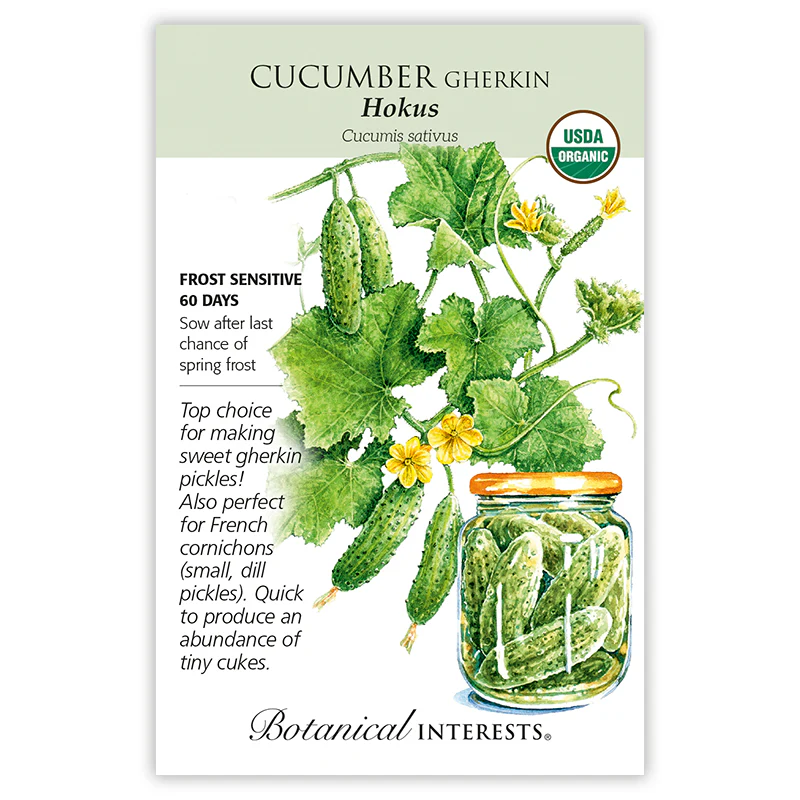 Hokus Gherkin Cucumber