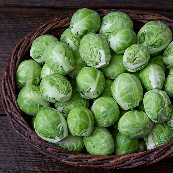 Dagan F1 Brussel Sprouts