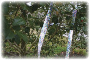 Dalen Holographic Scare Tape - Image 2