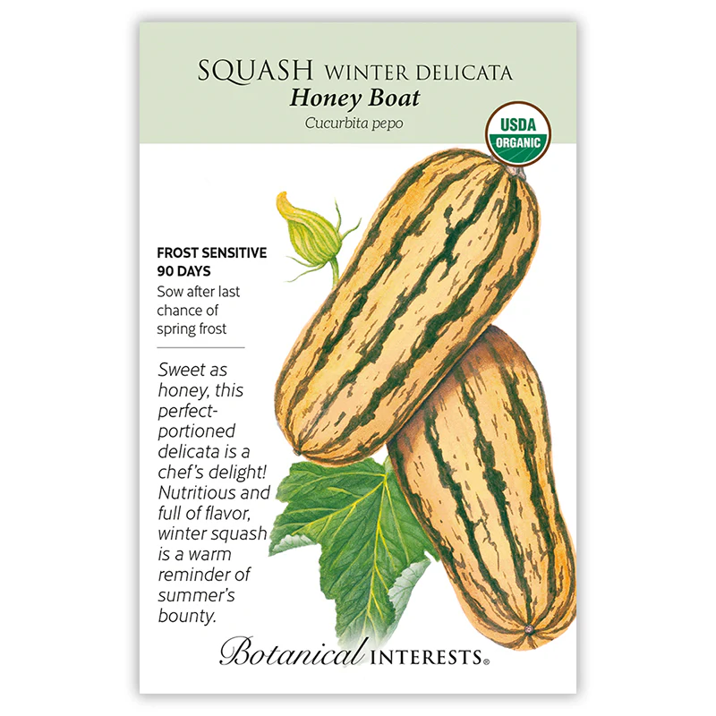 Honey Boat Delicata Winter Squash