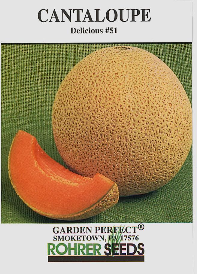 Delicious 51 Cantaloupe Seeds - Image 2
