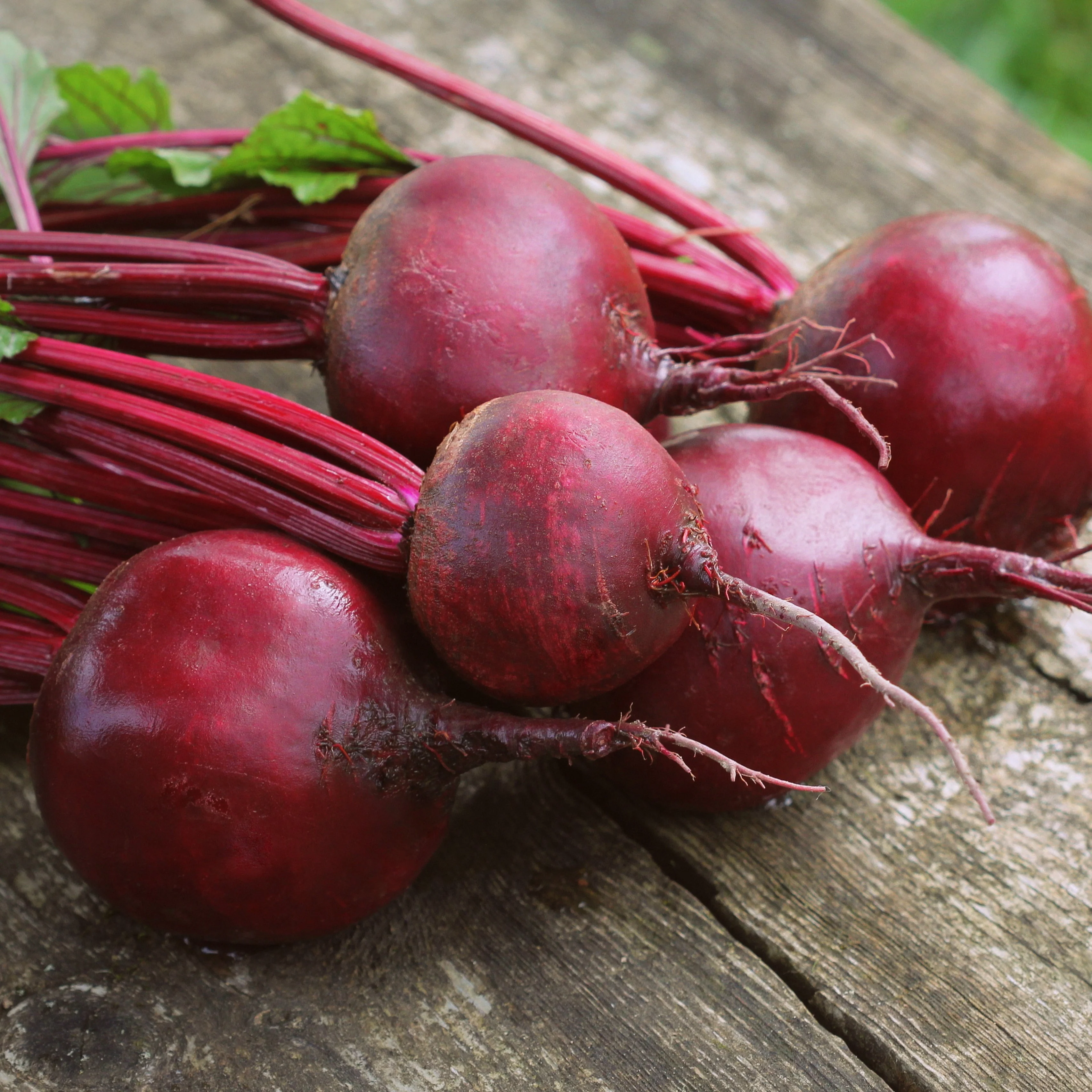 Detroit Dark Red Beet Seeds