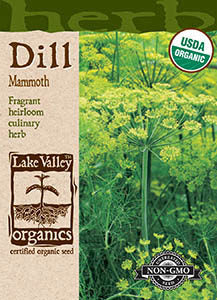 Organic Mammoth Dill