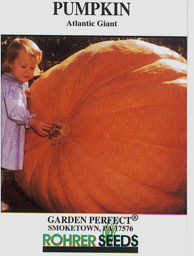 Dill's Atlantic Giant Pumpkin Seeds