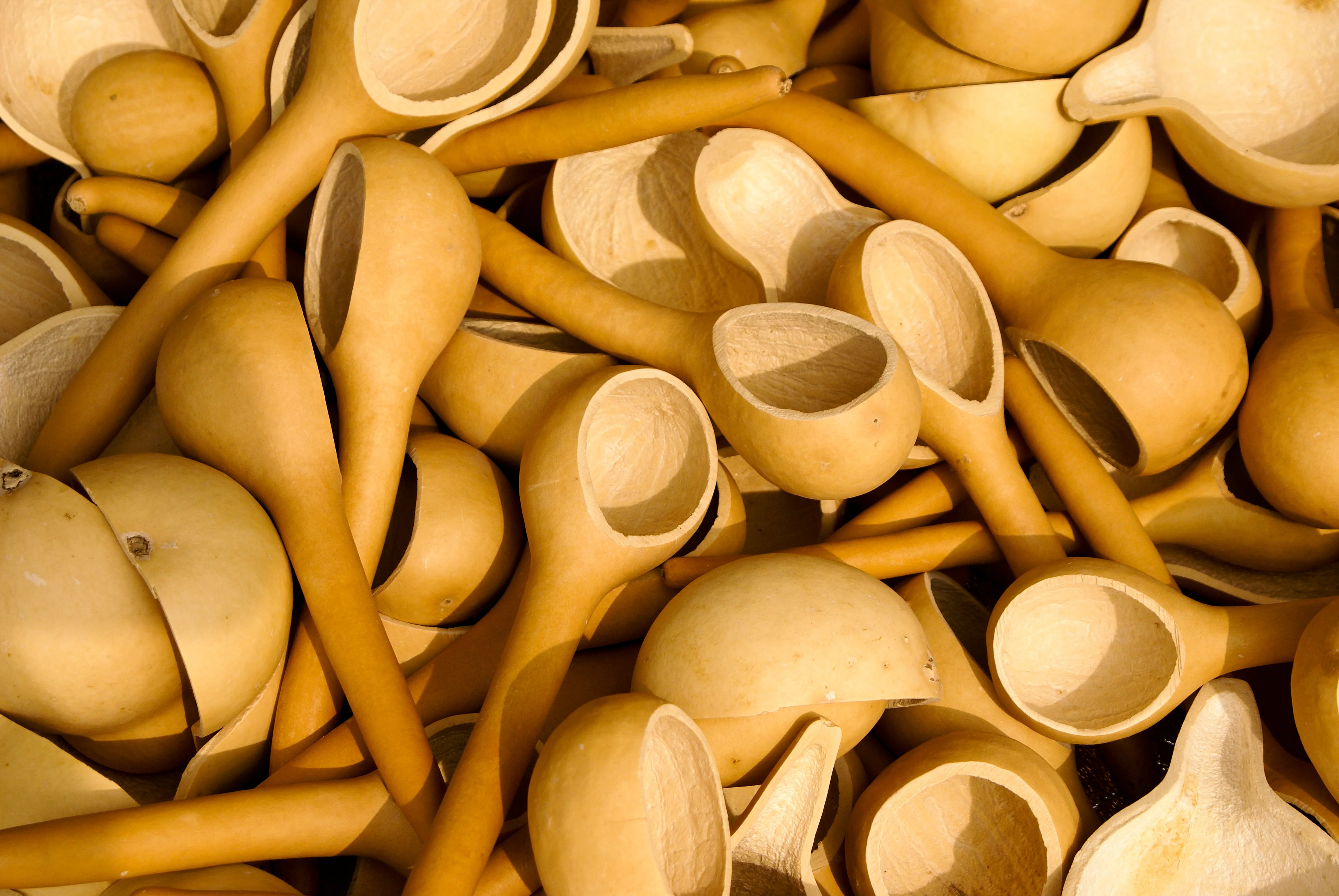 Dipper Gourds