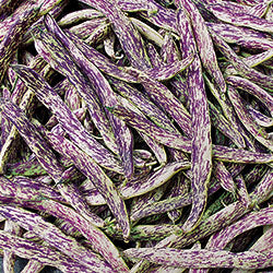 Dragon's Tongue Bean