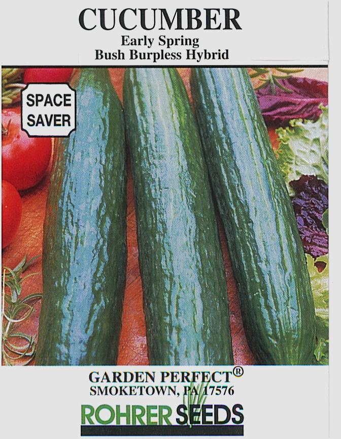 Early Spring Burpless Bush Cucumber Seeds - Image 2