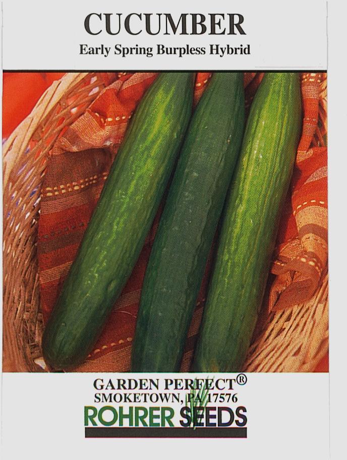 Early Spring Burpless Hybrid Cucumber Seeds