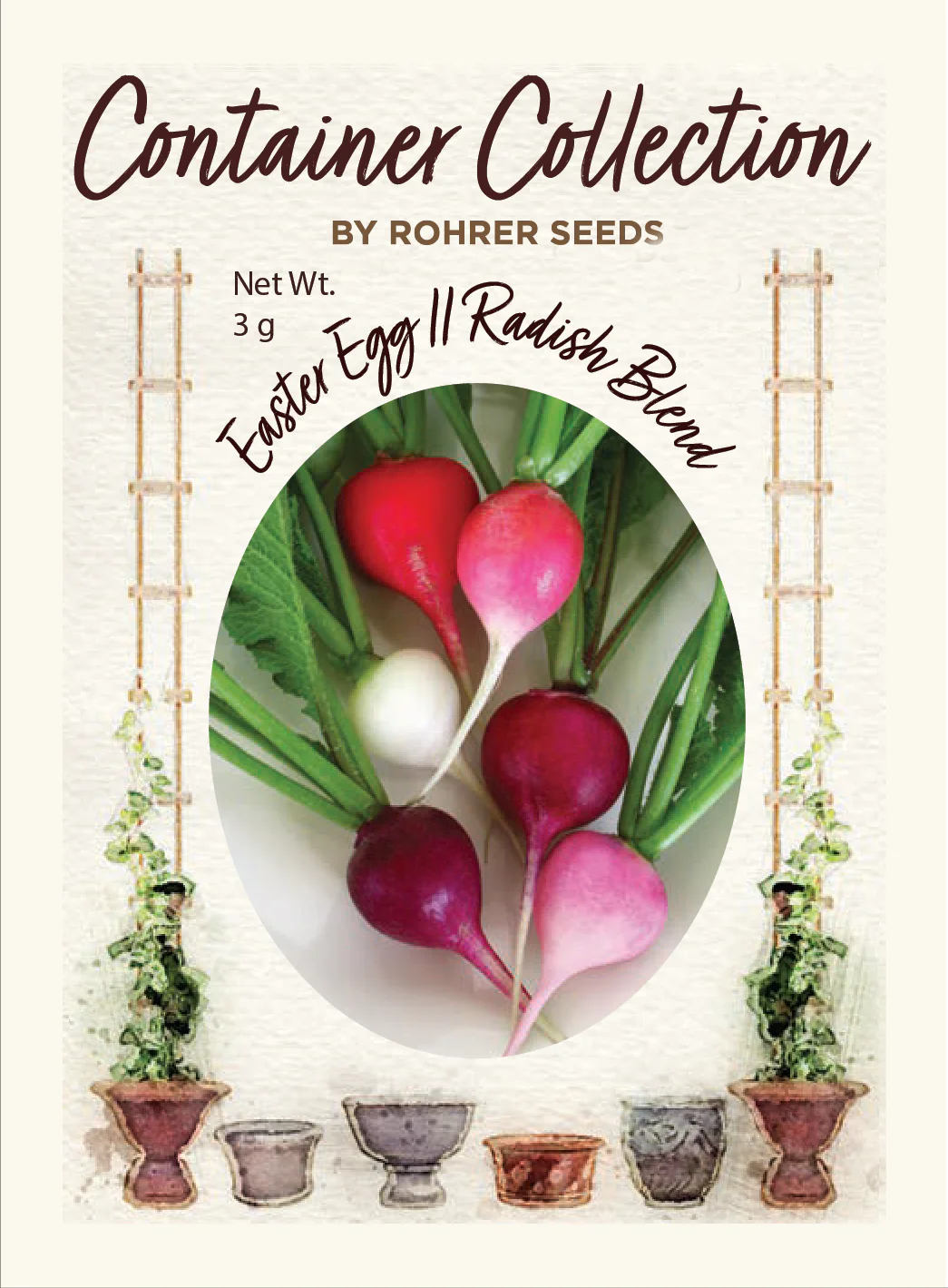 Easter Egg II Radish (250 seeds), Container Collection - Image 2