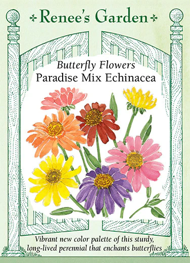 Paradise Mix Echinacea - Image 2