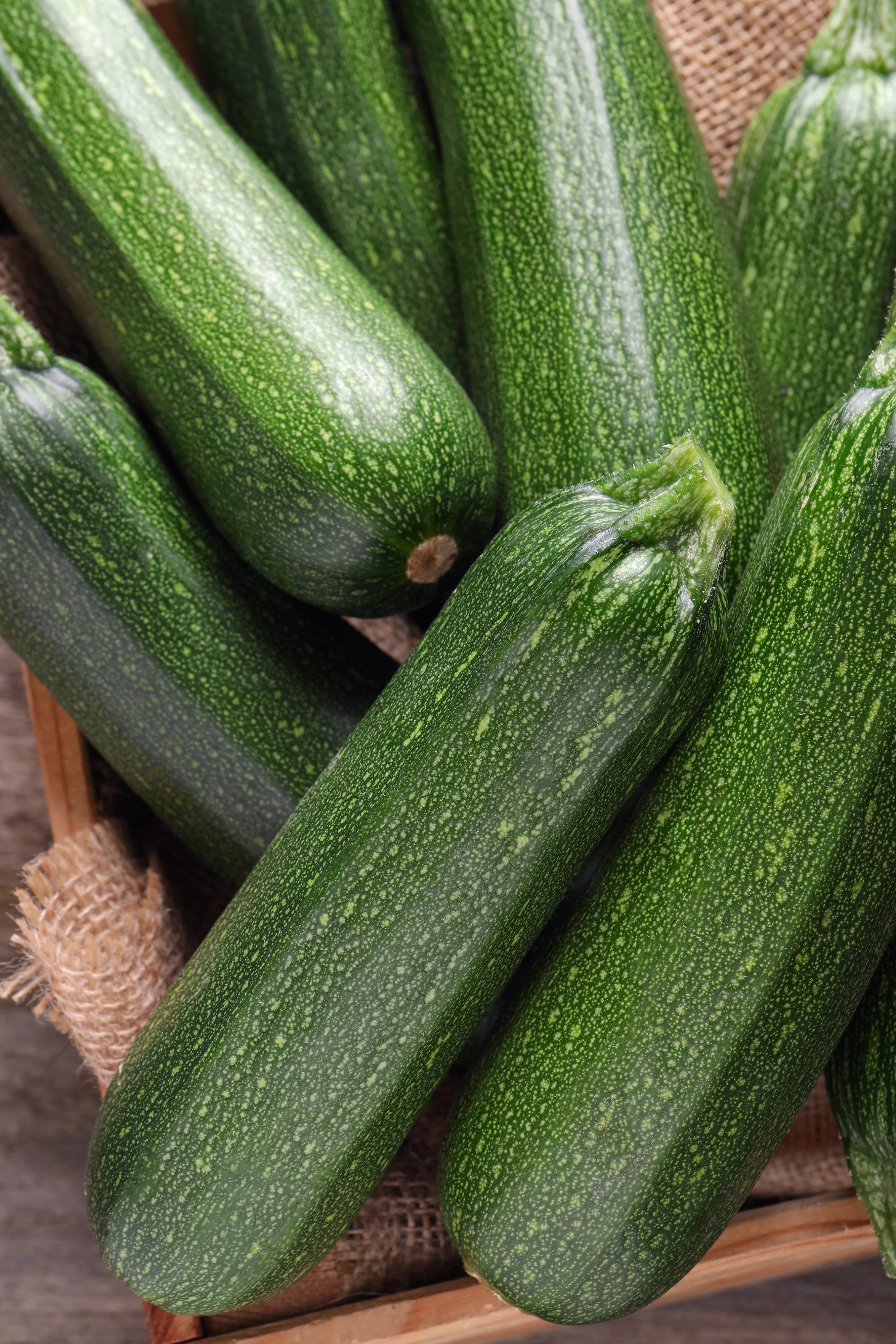 Emperors Jade Zucchini Squash Seeds