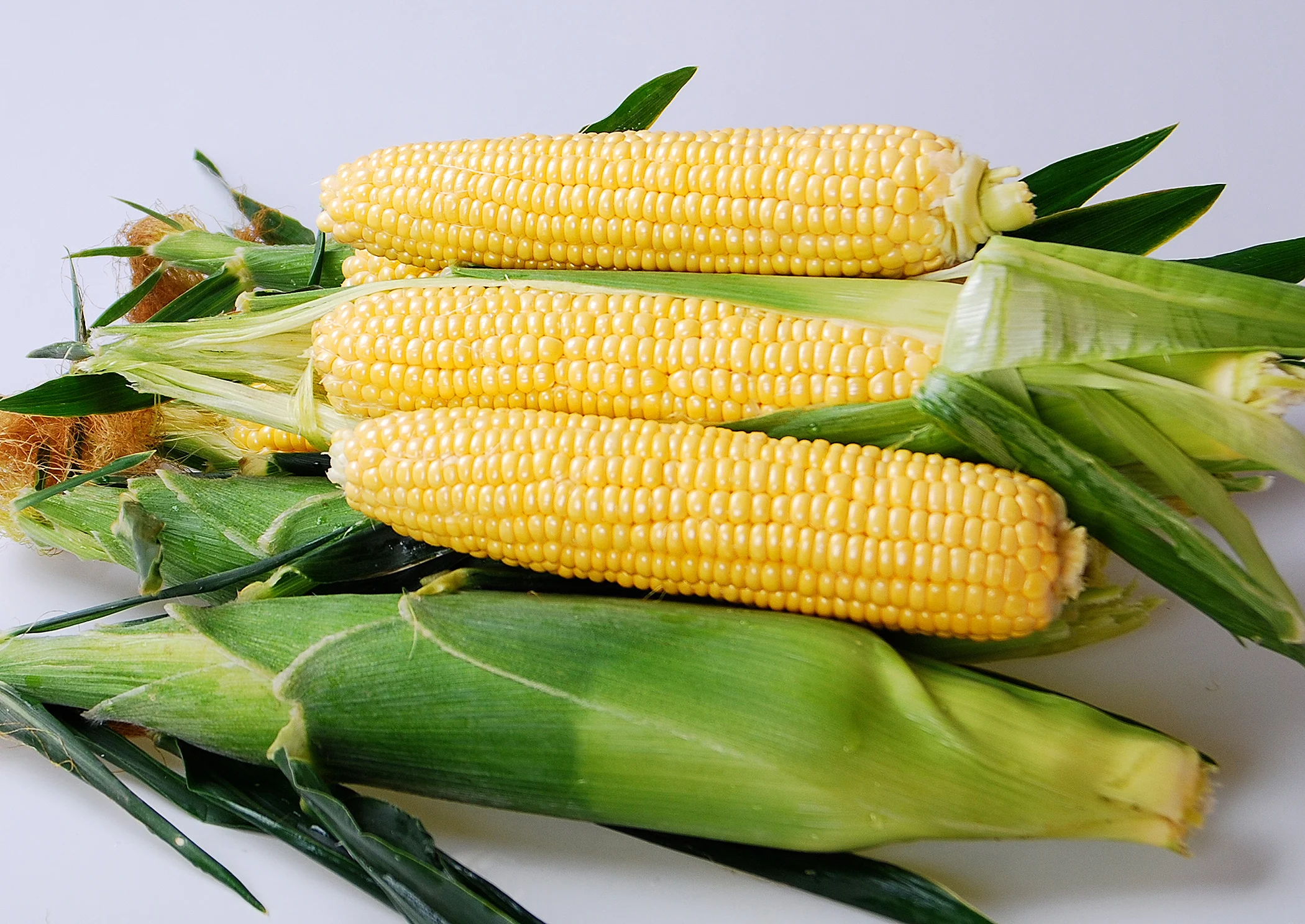 Equinox Sweet Corn Seeds - Image 2