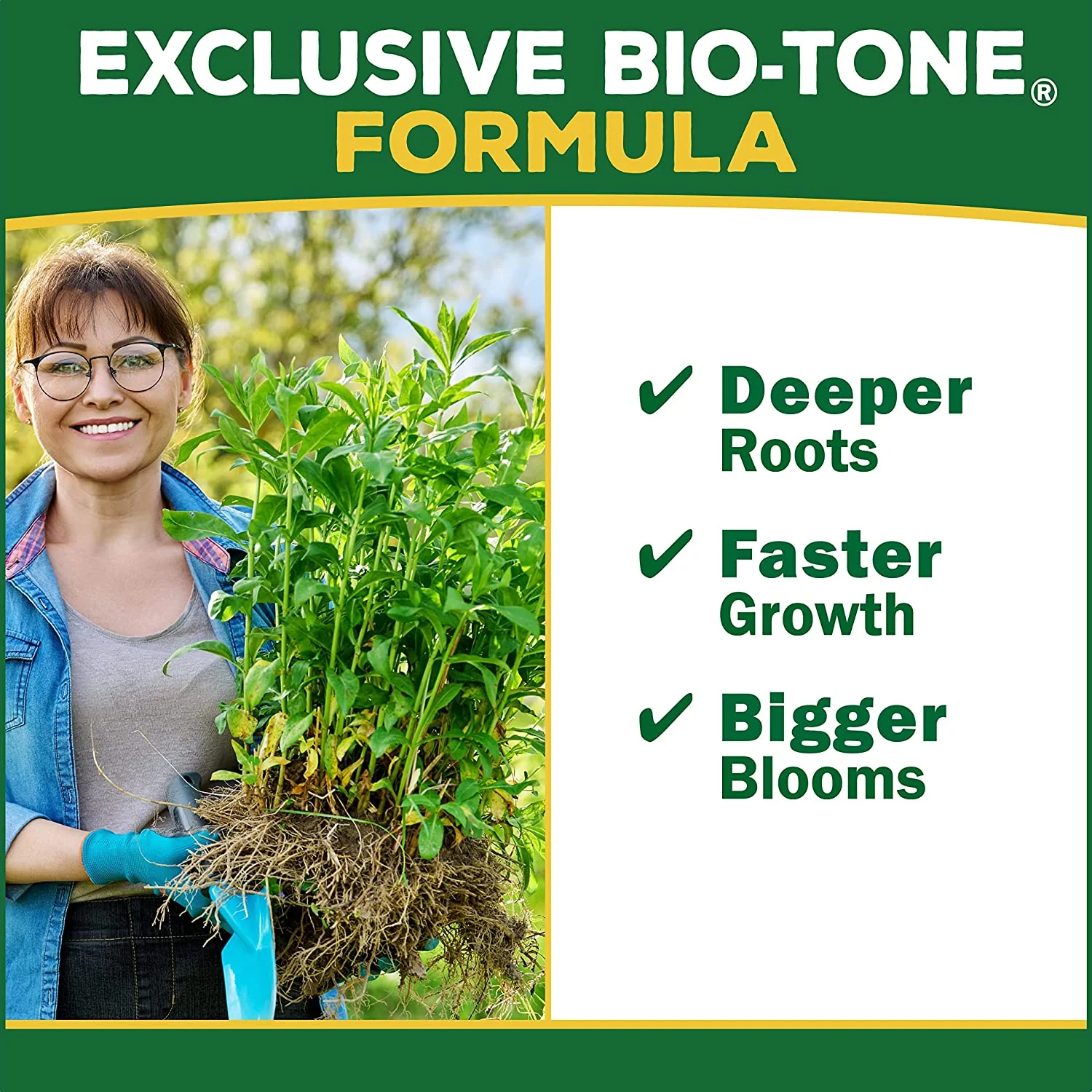 Espoma Berry-Tone (4 Lb) - Image 3