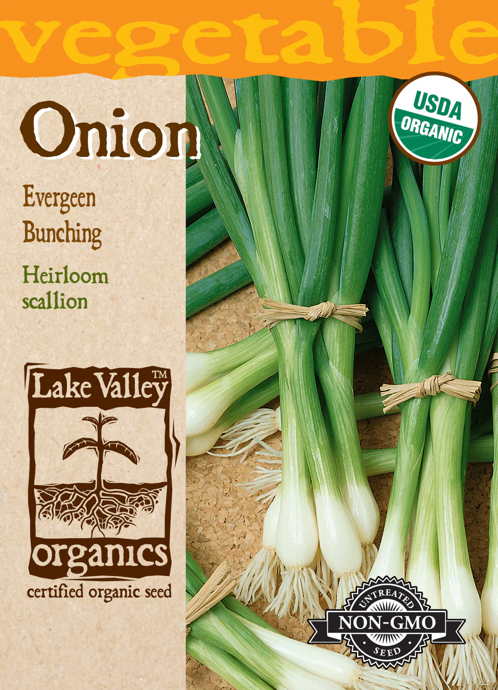 Organic Evergreen White Bunching Onion