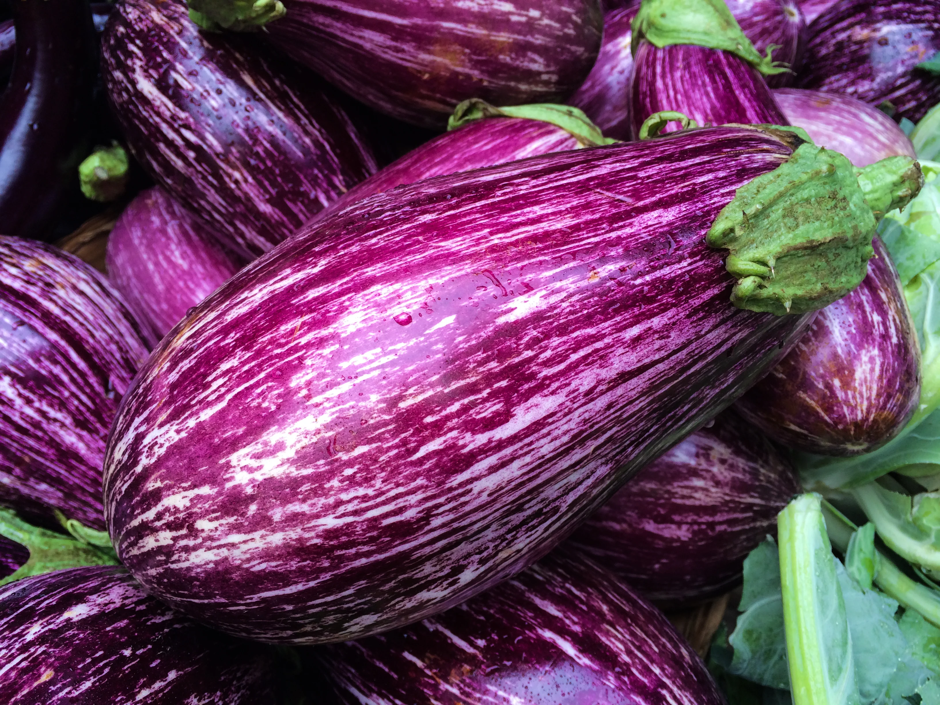 Fairy Tale Eggplant Seeds (Pkt)