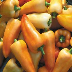 Feher Ozon Paprika Pepper
