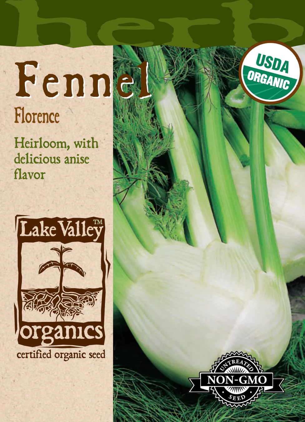Organic Florence Fennel