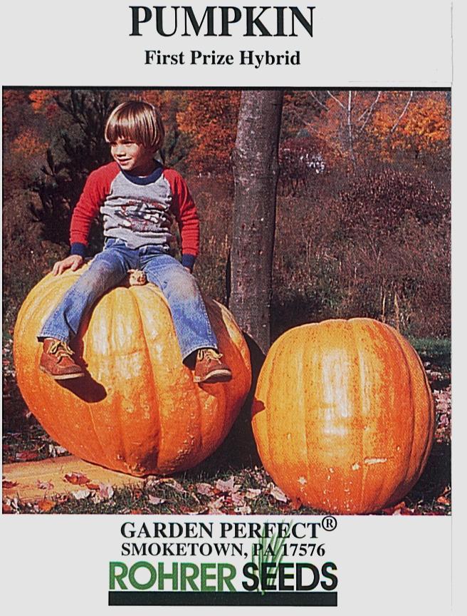 First Prize Pumpkin Seeds