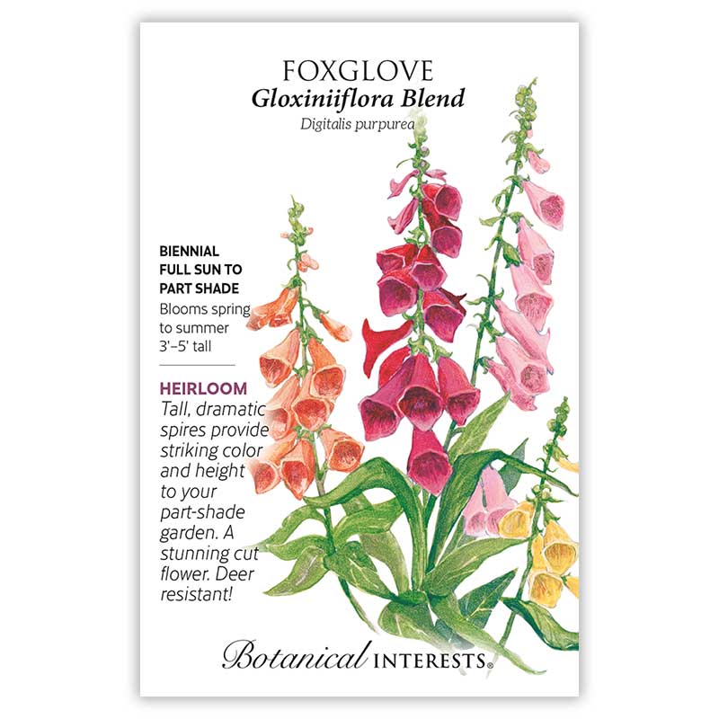 Gloxiniiflora Blend Foxglove