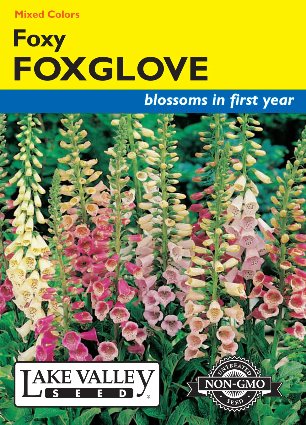 Foxy Mixed Colors Foxglove