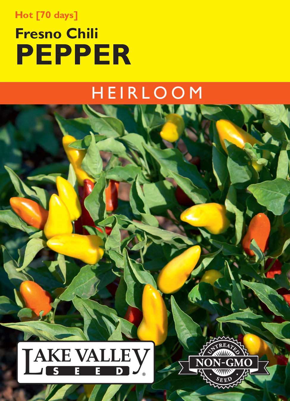 Fresno Hot Chili Pepper