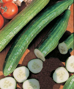 Garden Sweet Hybrid Cucumber Seeds