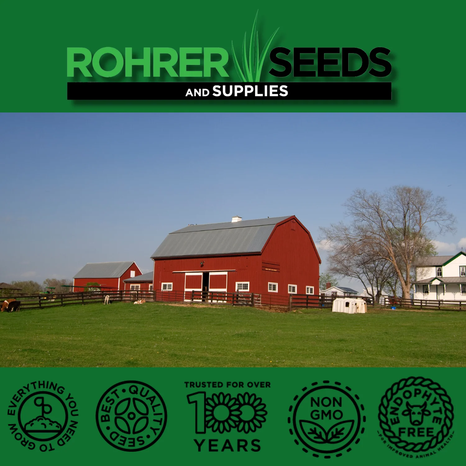 General Purpose Pasture Mix Seed - Image 5