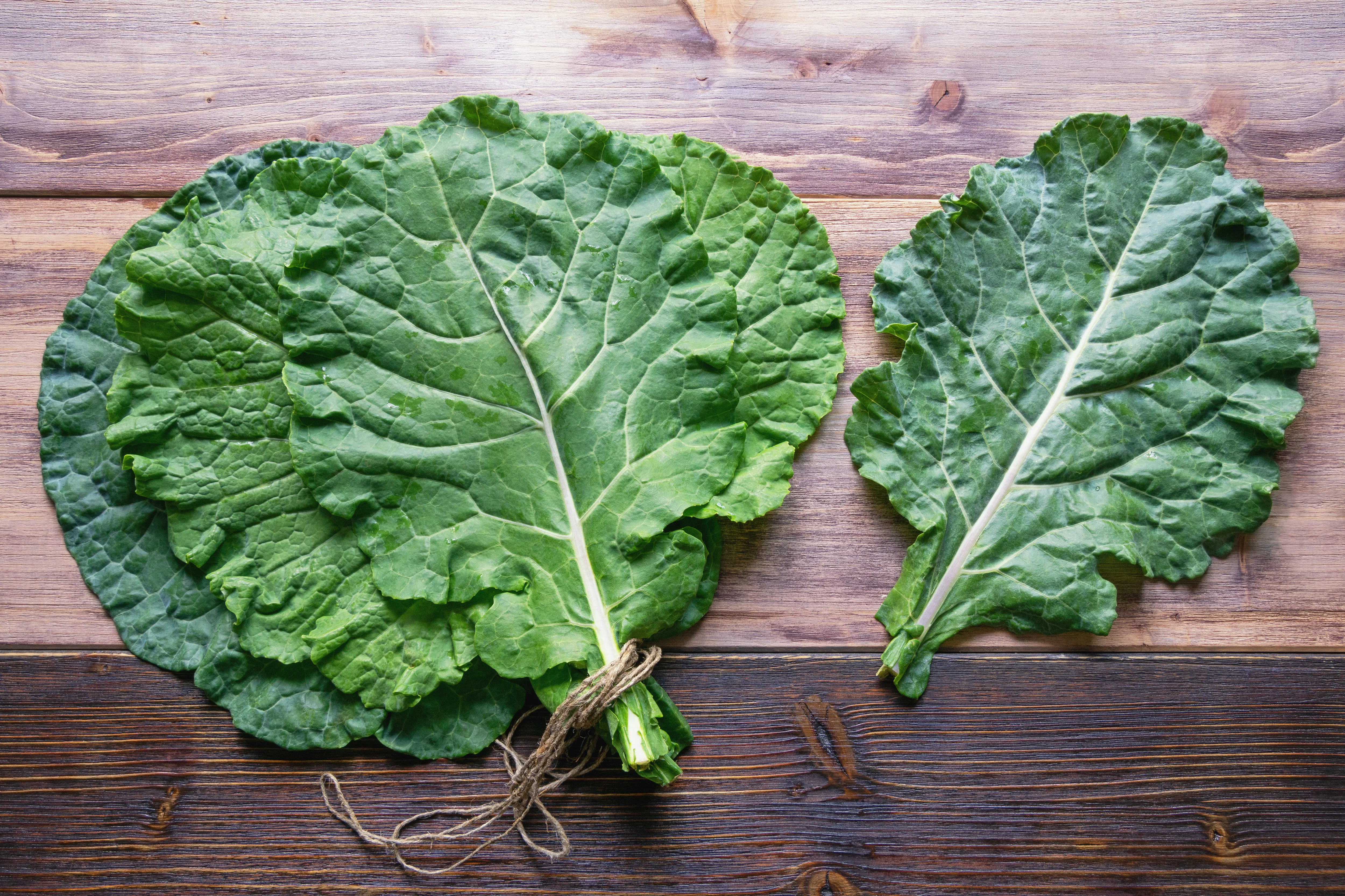 Georgia Southern Collards Seeds