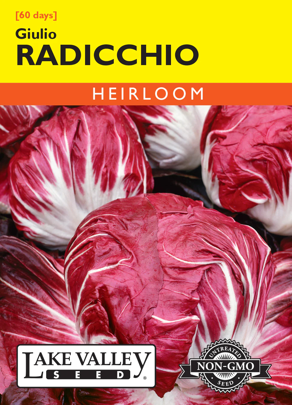 Giulio Radicchio Chicory (Pkt)