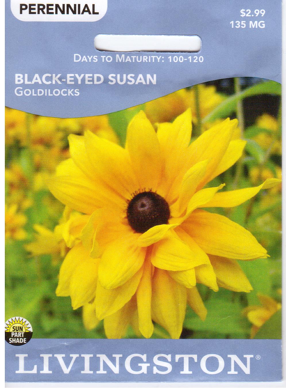 Goldilocks Rudbeckia