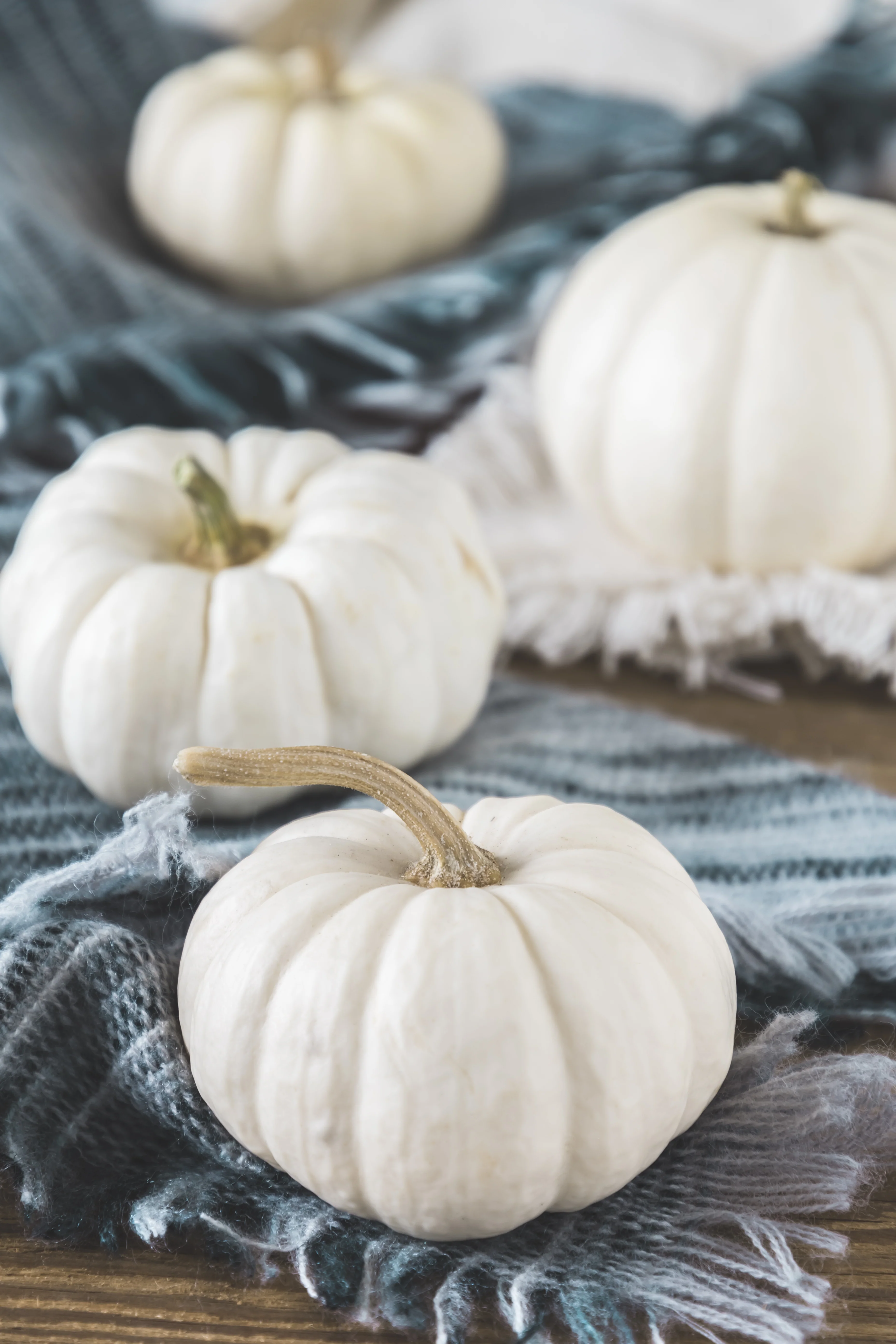 Gooligan Pumpkin Seeds