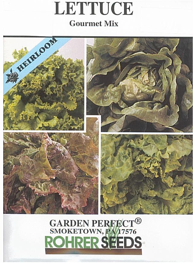 Gourmet Mix Lettuce Seeds - Image 6