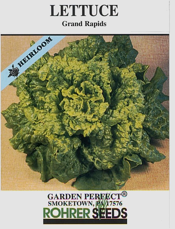 Grand Rapids Lettuce Seeds - Image 2