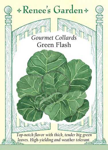 Green Flash Collards - Image 2