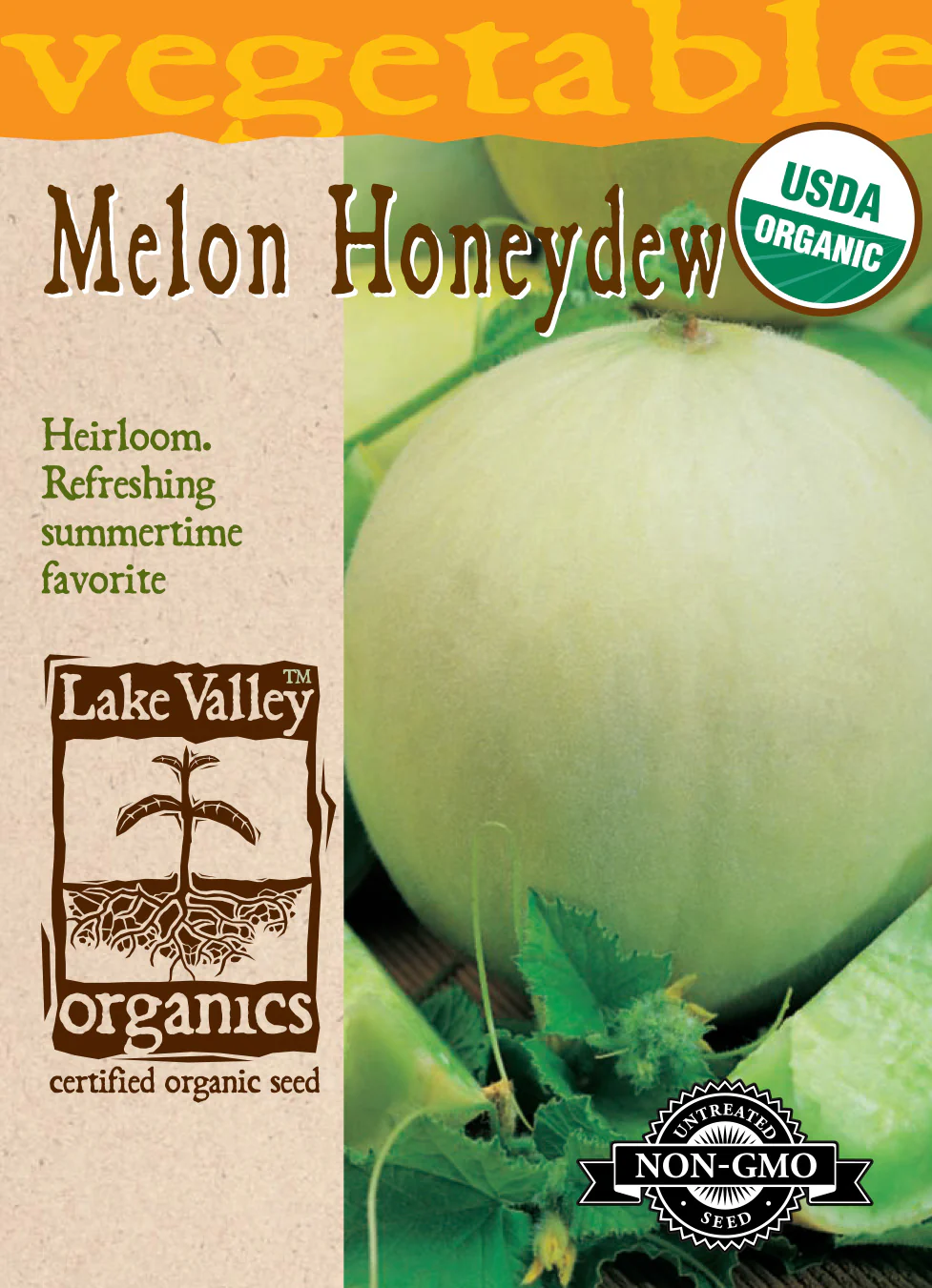Organic Green Flesh Honeydew Melon