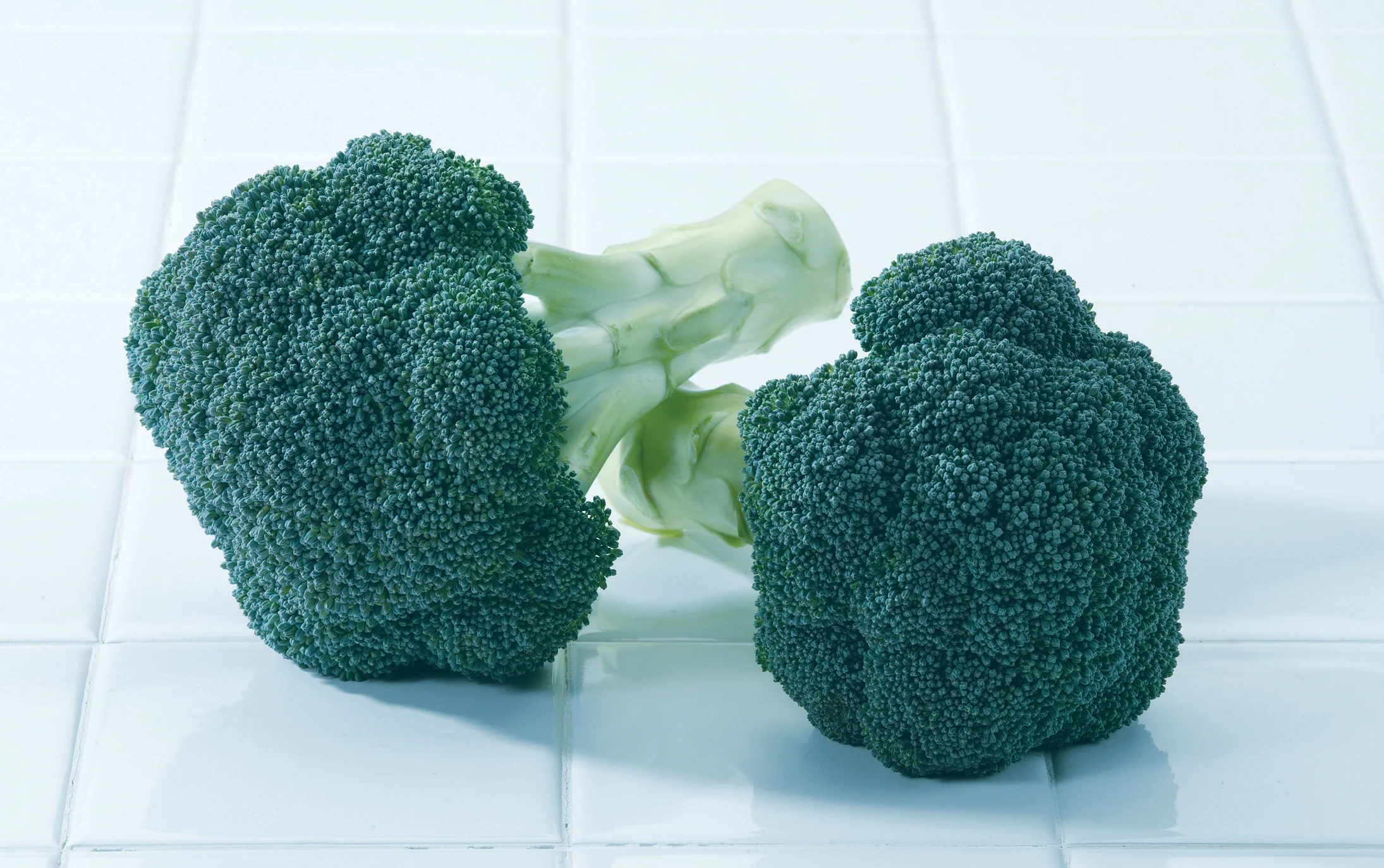 Green Magic F1 Hybrid Broccoli Seeds - Image 3