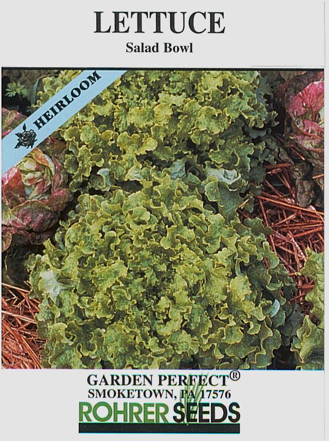 Green Salad Bowl Lettuce Seeds - Image 2