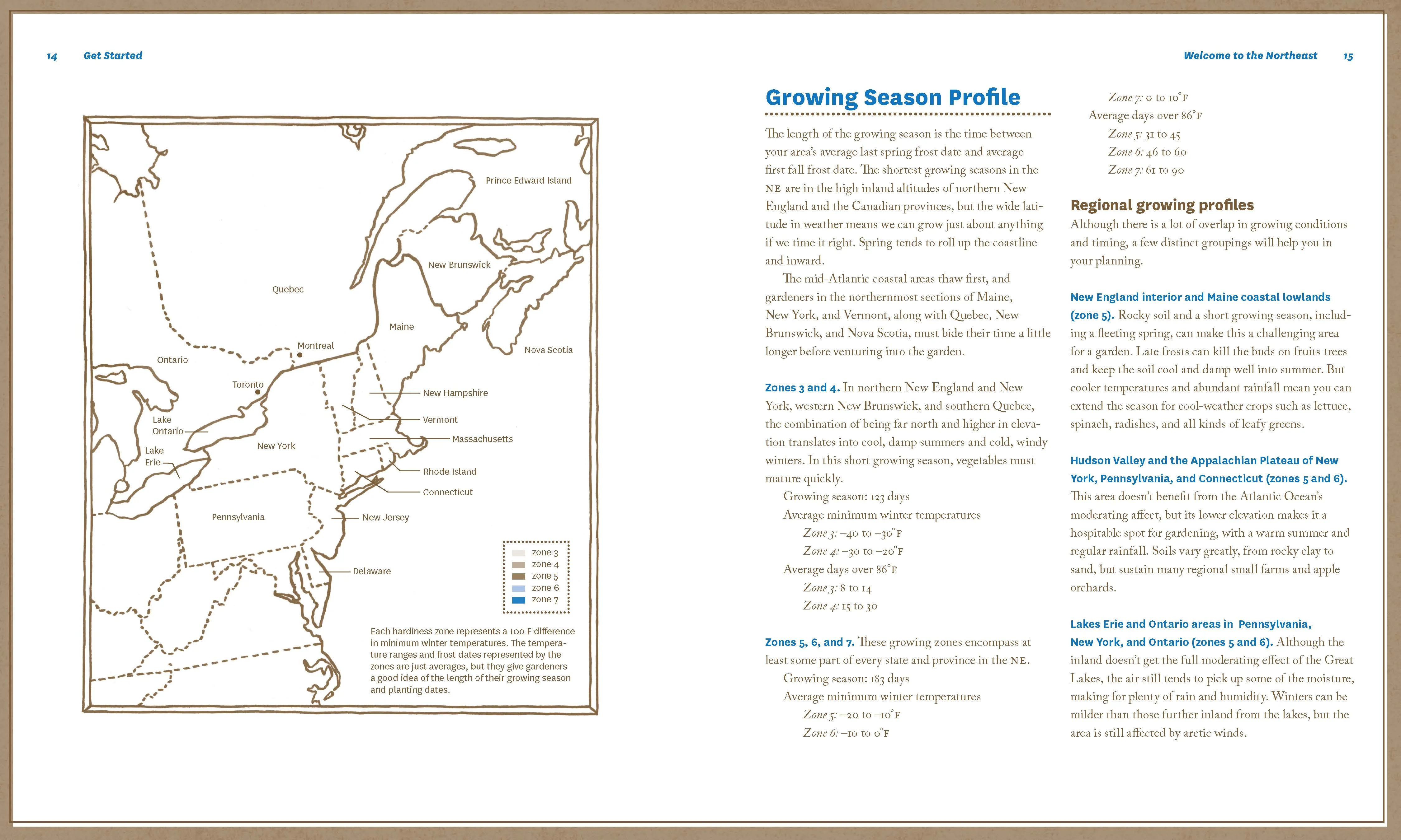 Guide to Vegetable Gardening in Northeast - Image 2