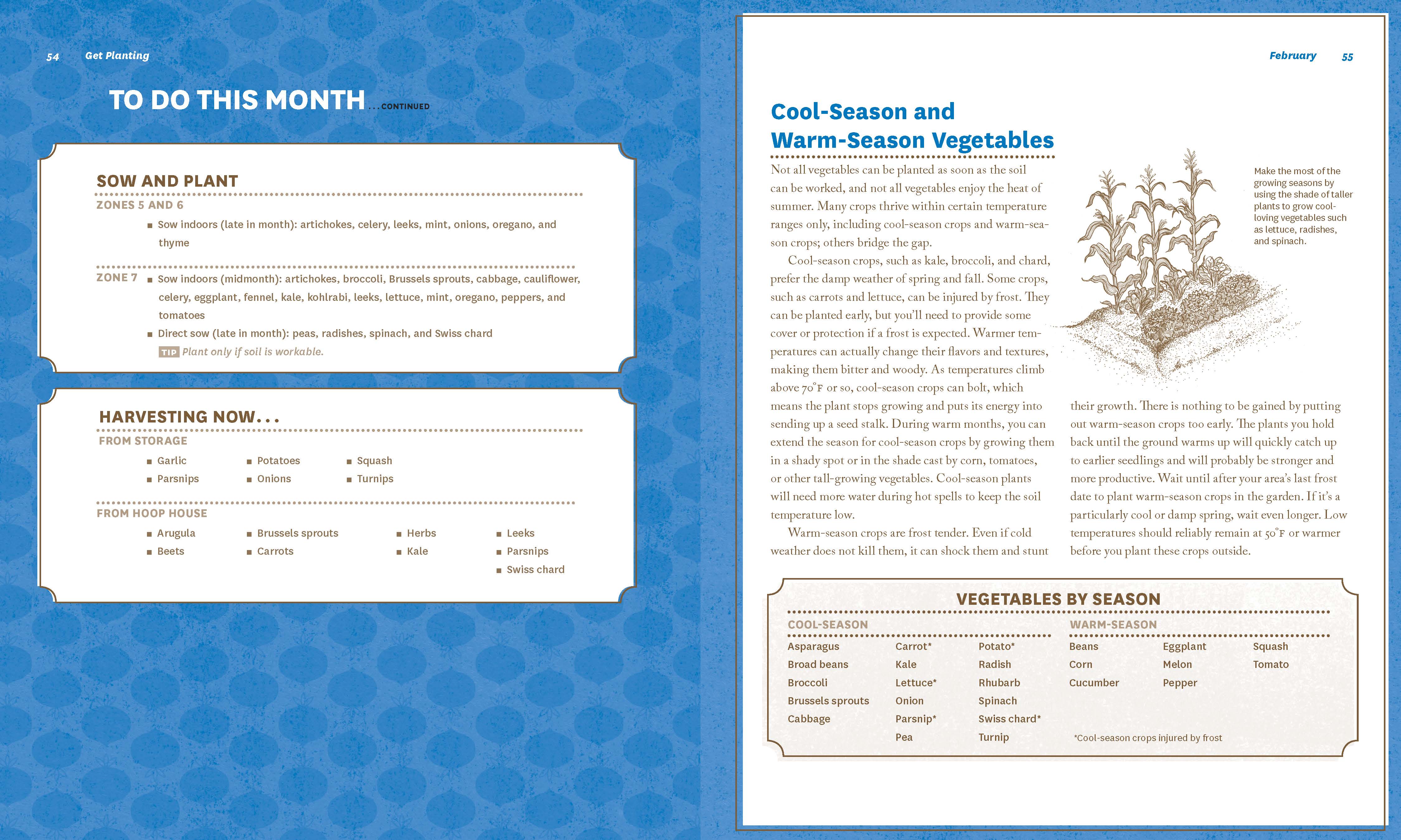 Guide to Vegetable Gardening in Northeast - Image 3