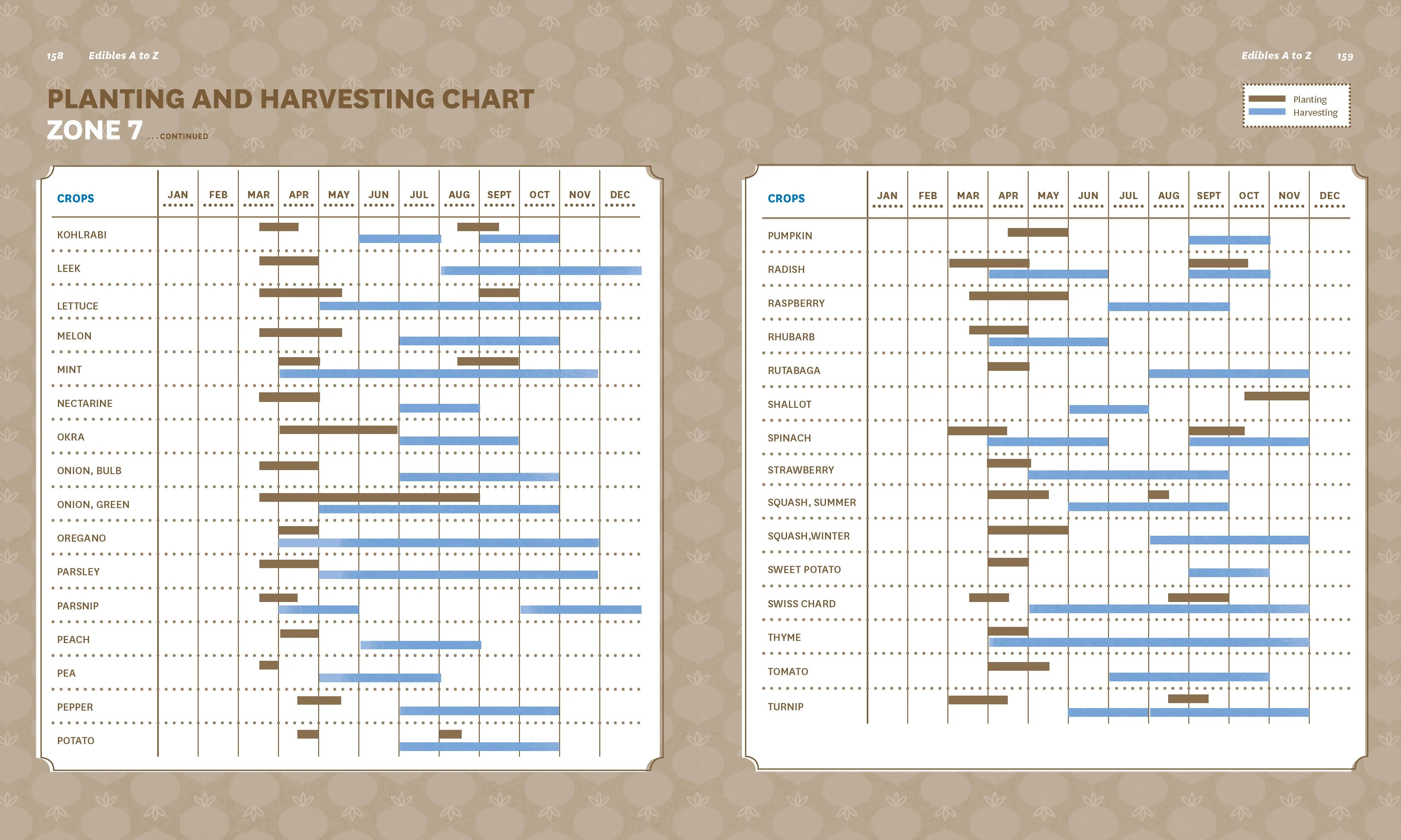 Guide to Vegetable Gardening in Northeast - Image 4